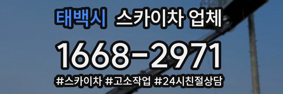 태백시 스카이차 업체