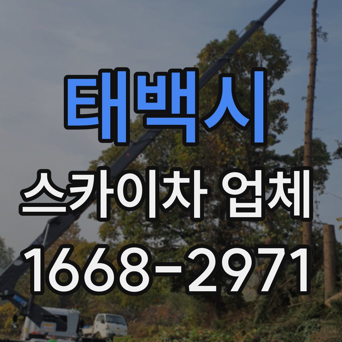 태백시 스카이차 업체