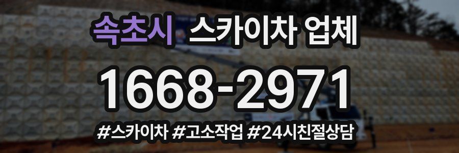 속초시 스카이차 업체