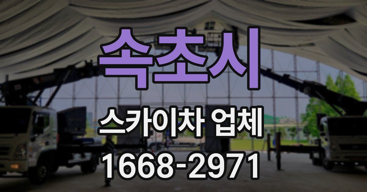 속초시 스카이차 업체