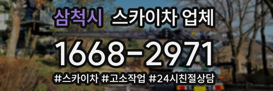 삼척시 스카이차 업체