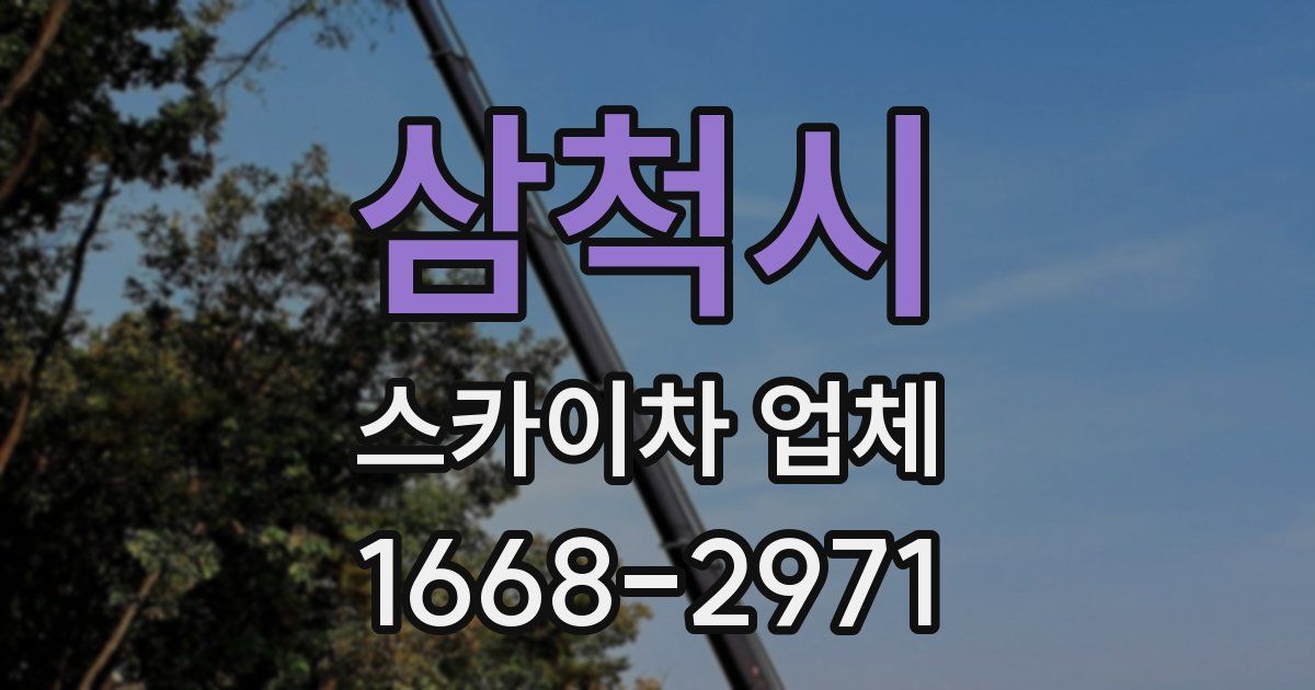 삼척시 스카이차 업체