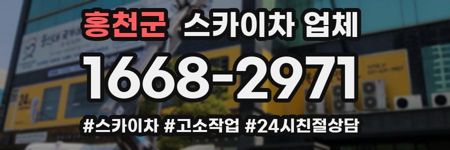 홍천군 스카이차 업체