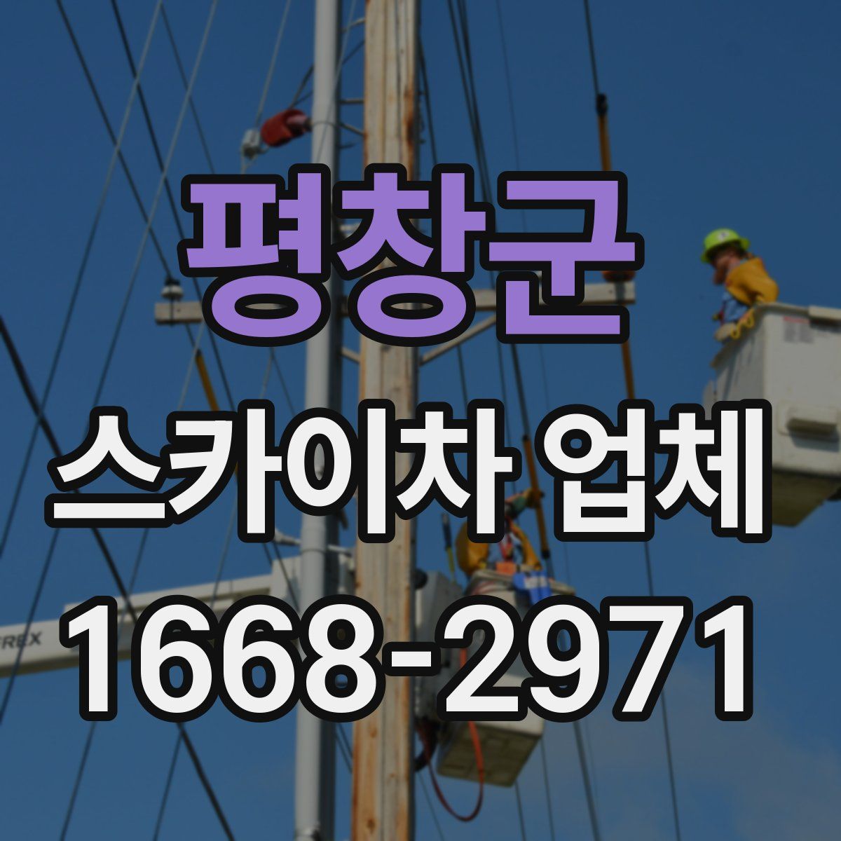 평창군 스카이차 업체