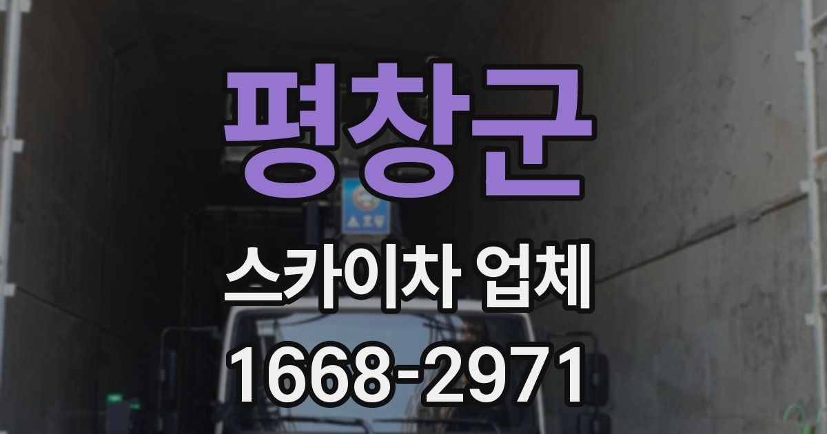 평창군 스카이차 업체