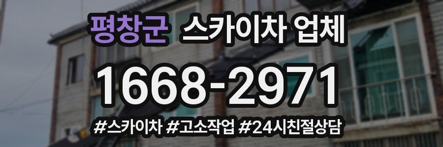평창군 스카이차 업체