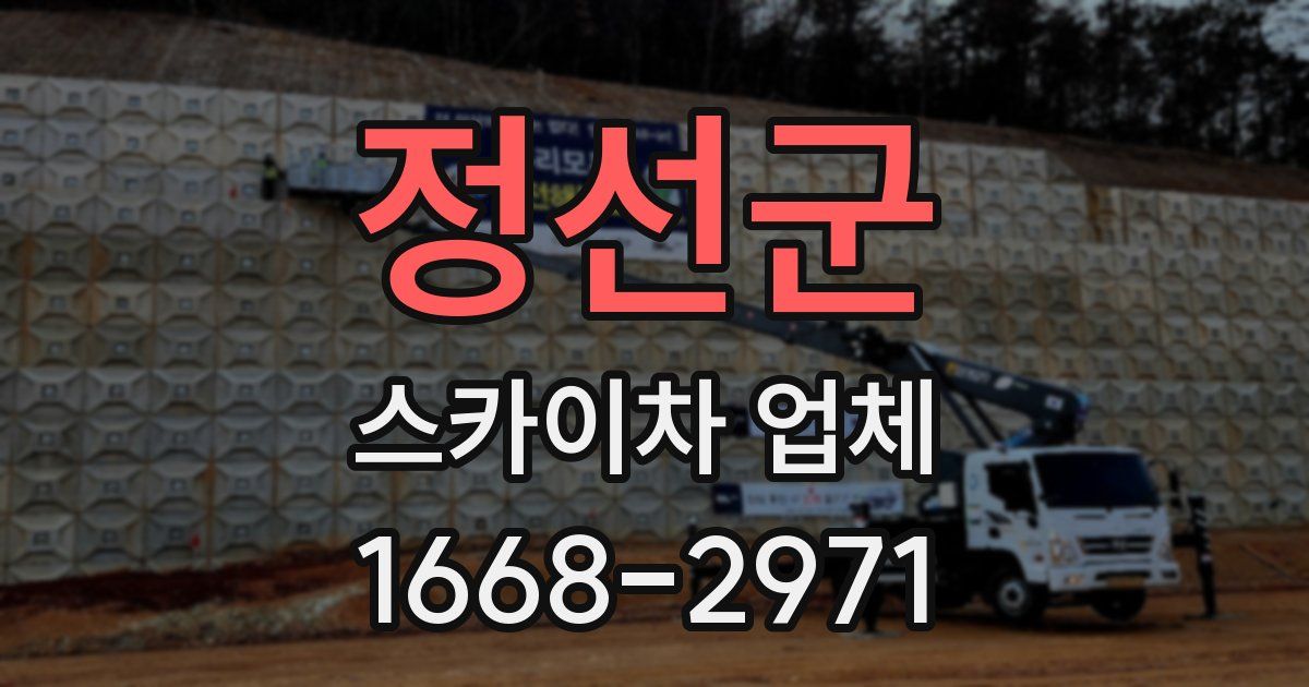 정선군 스카이차 업체