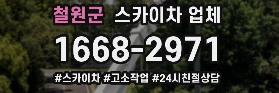 철원군 스카이차 업체
