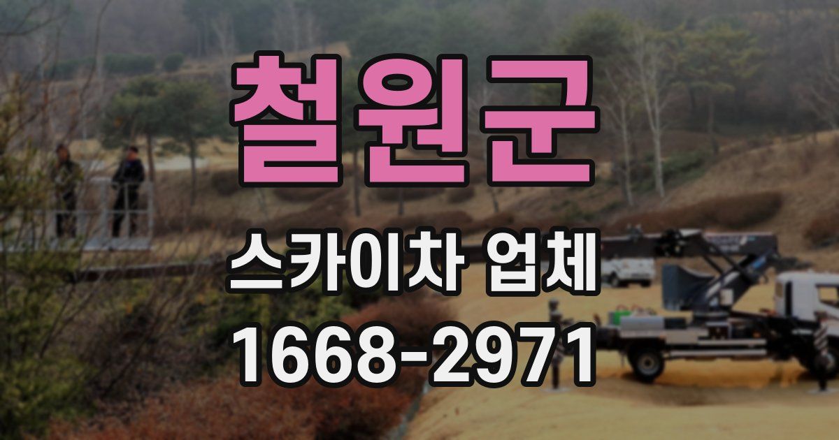 철원군 스카이차 업체