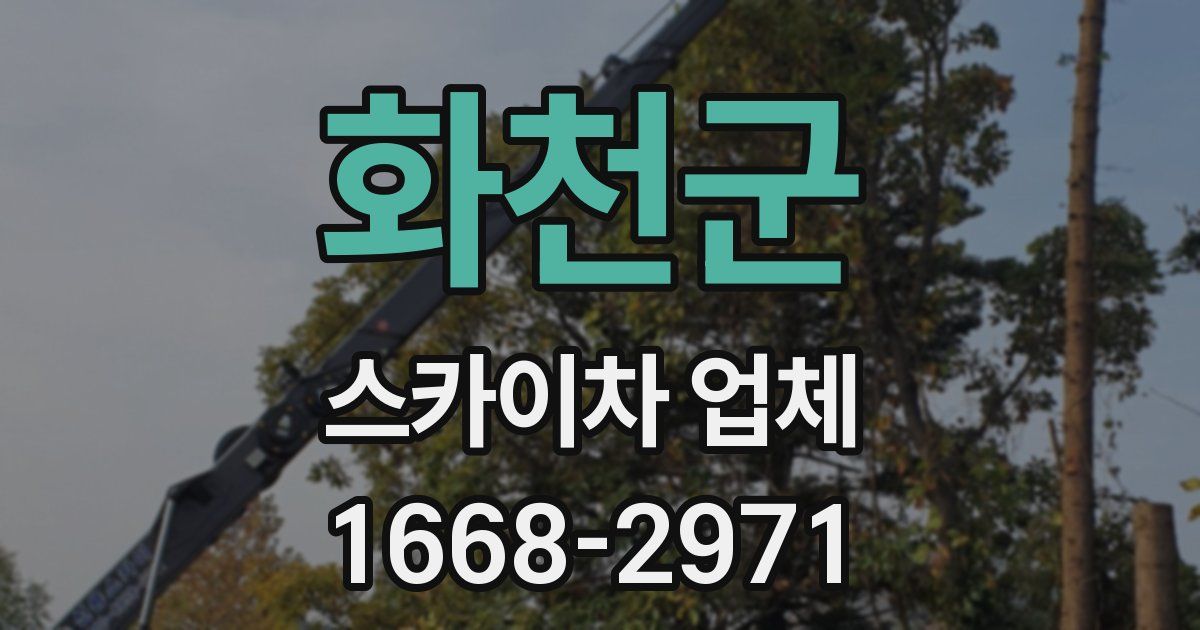 화천군 스카이차 업체