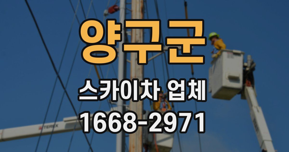 양구군 스카이차 업체