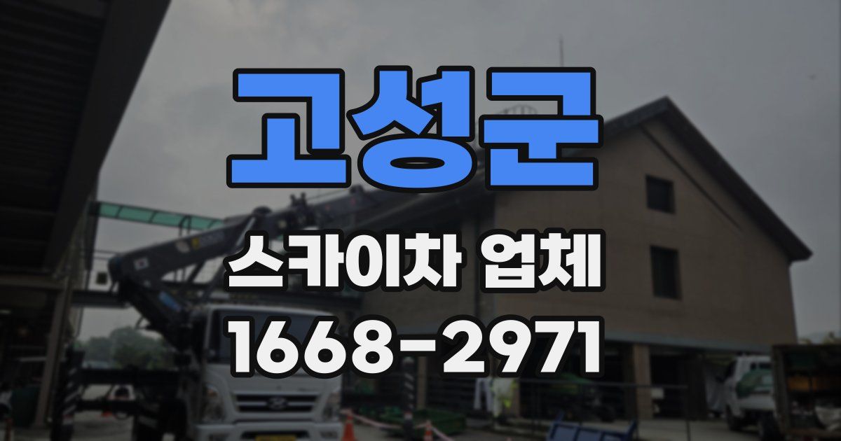 고성군 스카이차 업체