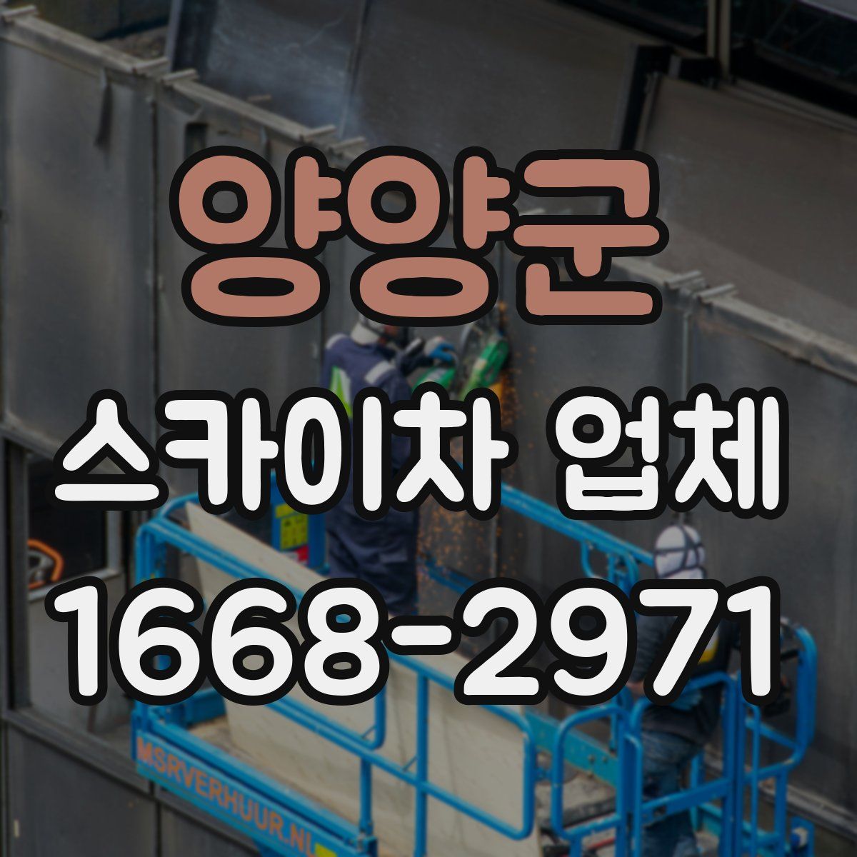 양양군 스카이차 업체