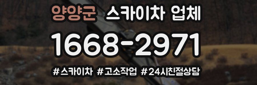 양양군 스카이차 업체