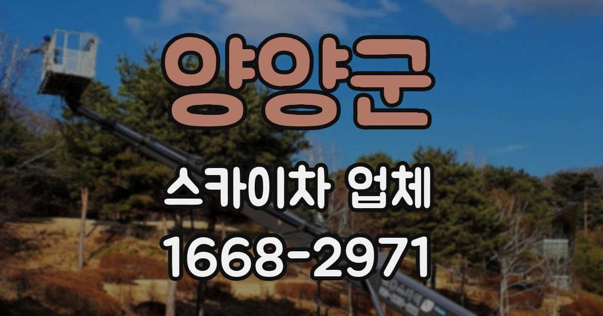 양양군 스카이차 업체