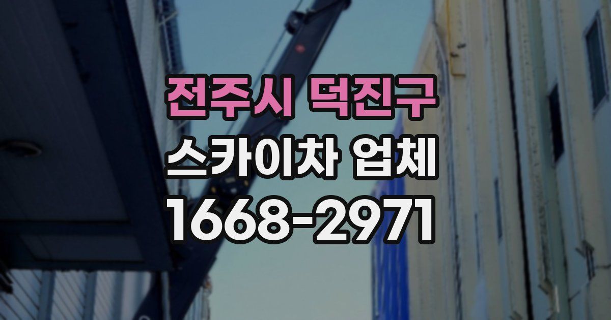 전주시 덕진구 스카이차 업체