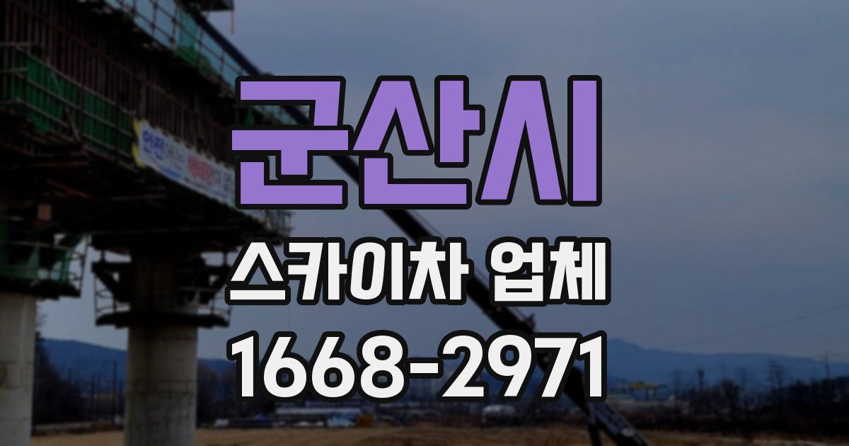 군산시 스카이차 업체