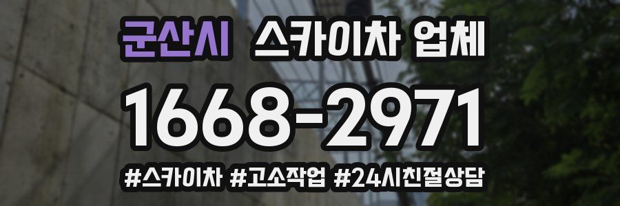 군산시 스카이차 업체