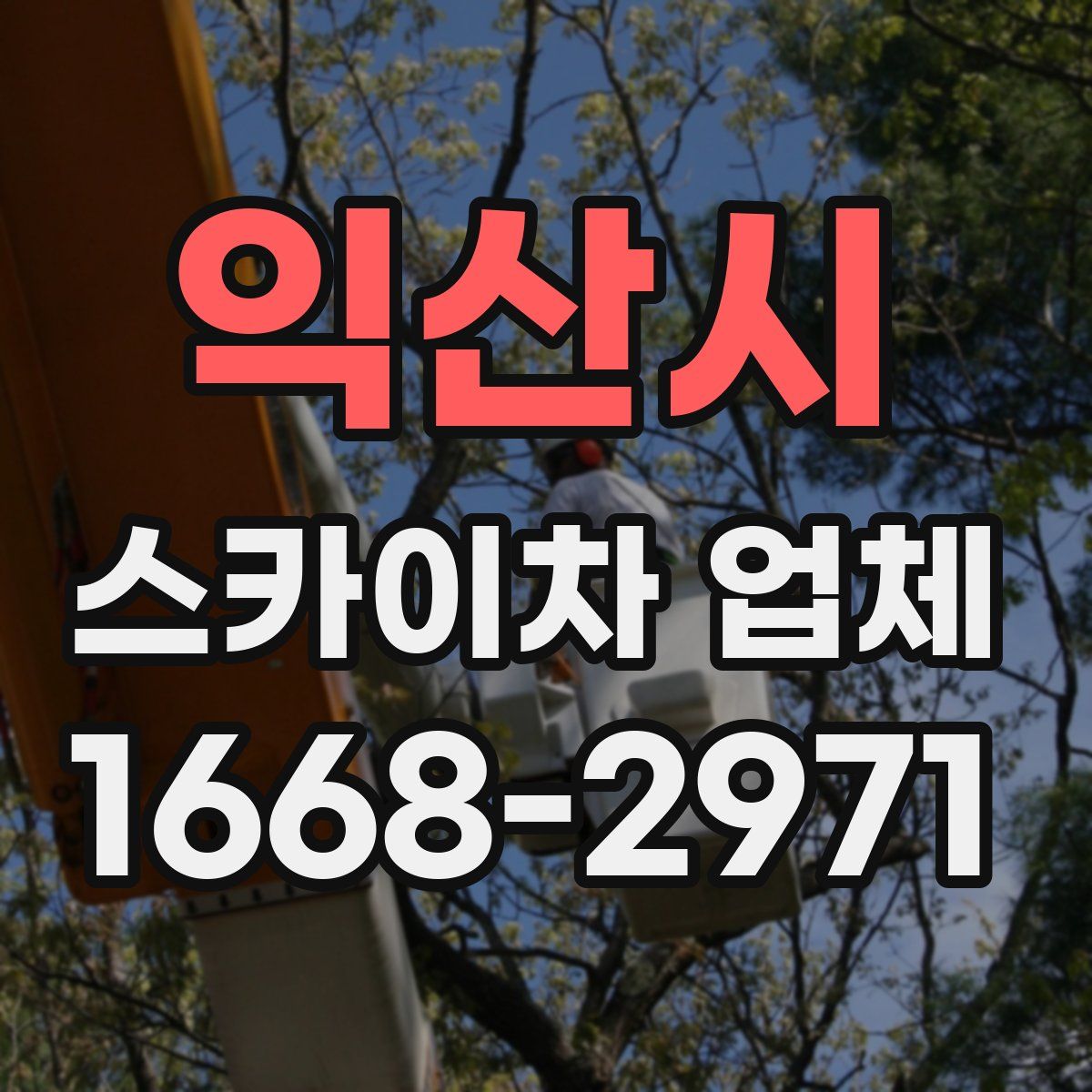 익산시 스카이차 업체