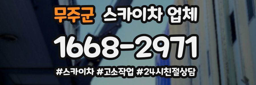 무주군 스카이차 업체