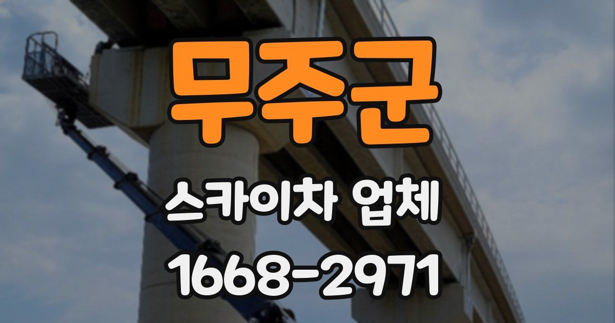 무주군 스카이차 업체