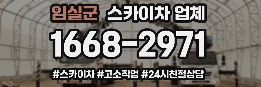 임실군 스카이차 업체
