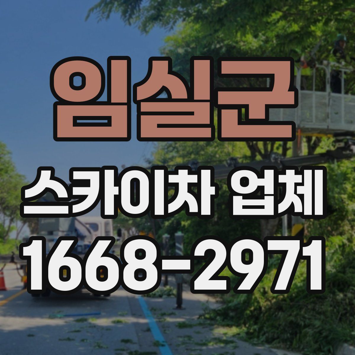 임실군 스카이차 업체