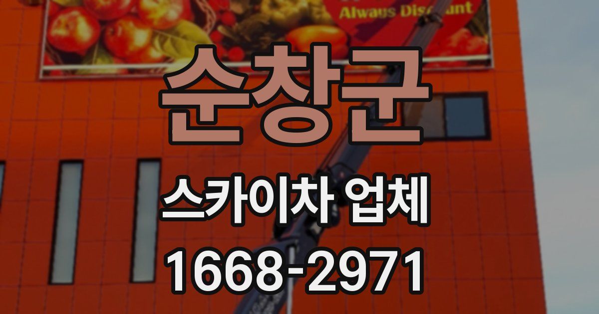 순창군 스카이차 업체