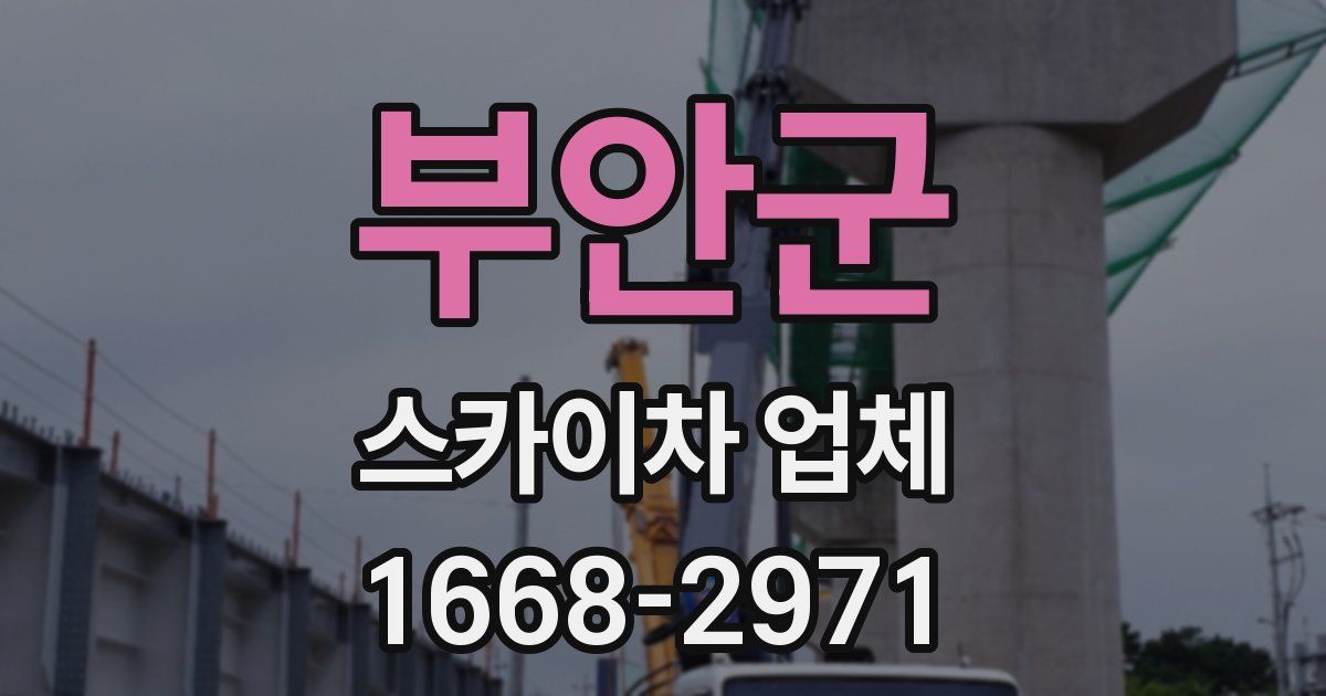 부안군 스카이차 업체