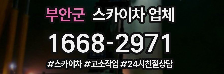 부안군 스카이차 업체