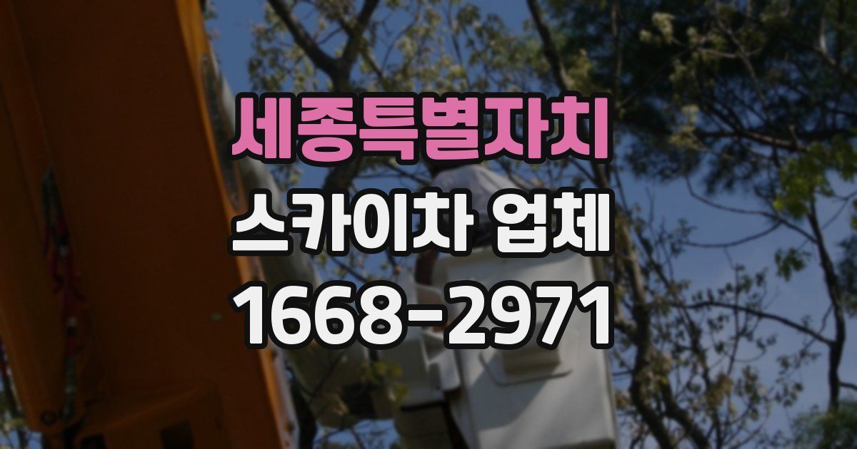 세종특별자치 스카이차 업체
