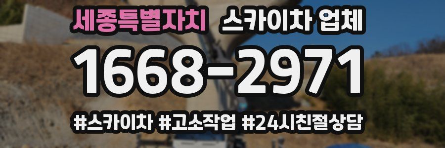 세종특별자치 스카이차 업체