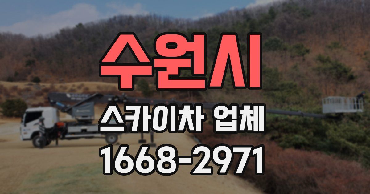 수원시 스카이차 업체