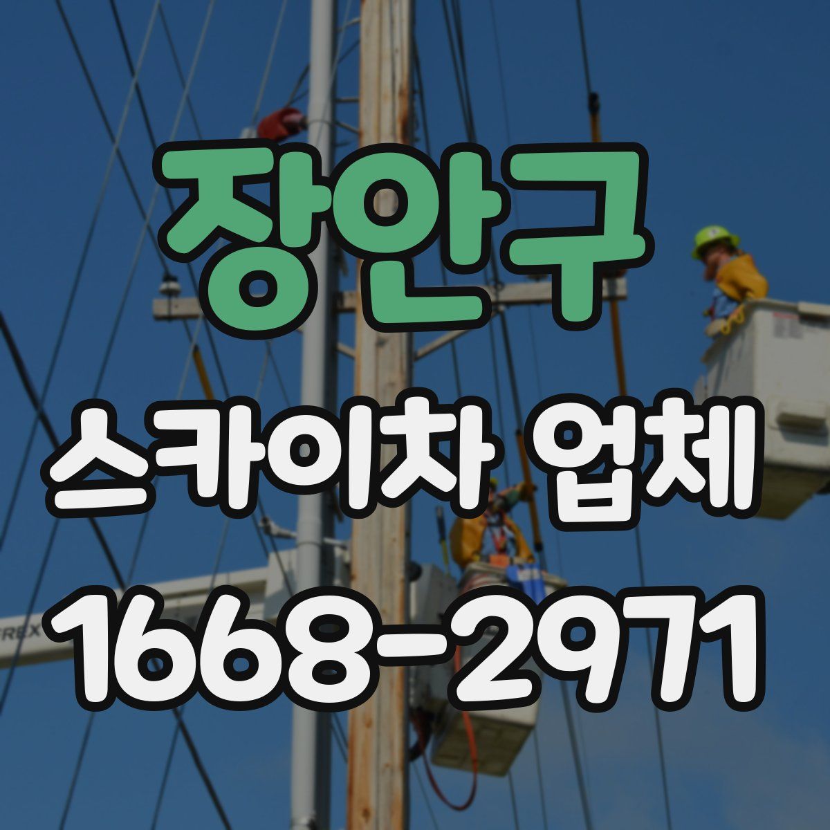 장안구 스카이차 업체