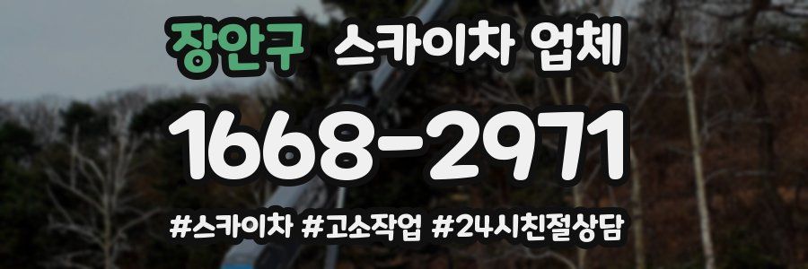 장안구 스카이차 업체