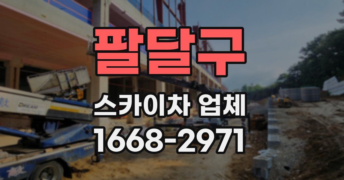 팔달구 스카이차 업체