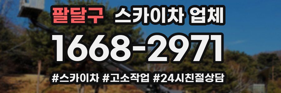 팔달구 스카이차 업체