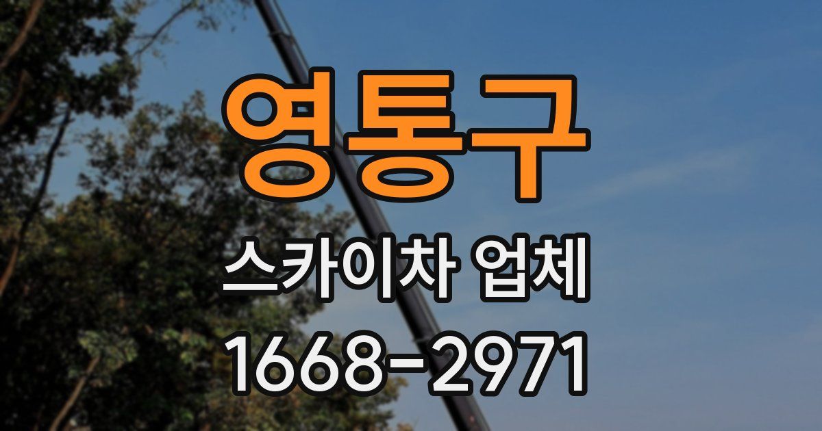 영통구 스카이차 업체