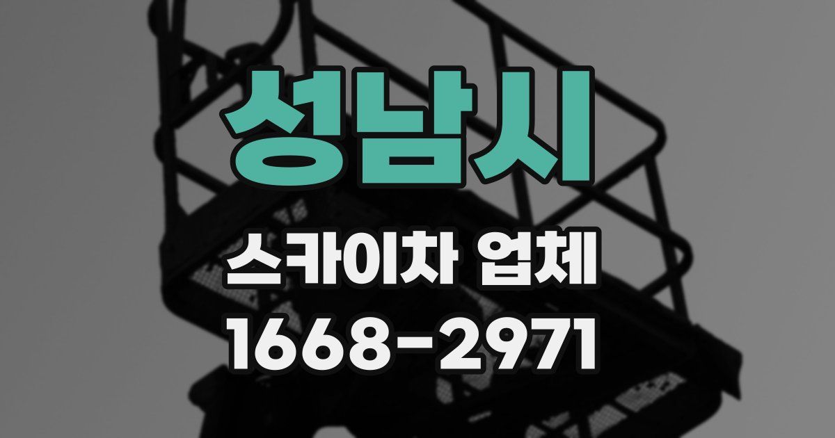 성남시 스카이차 업체
