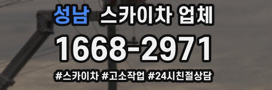 성남 스카이차 업체