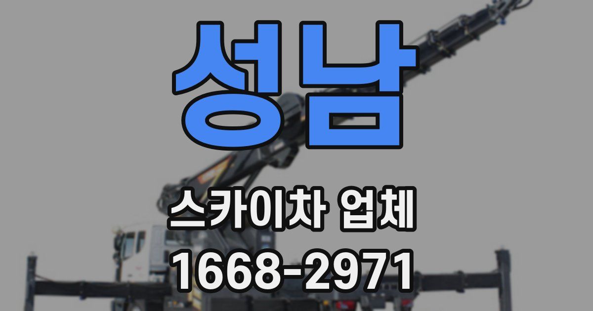 성남 스카이차 업체