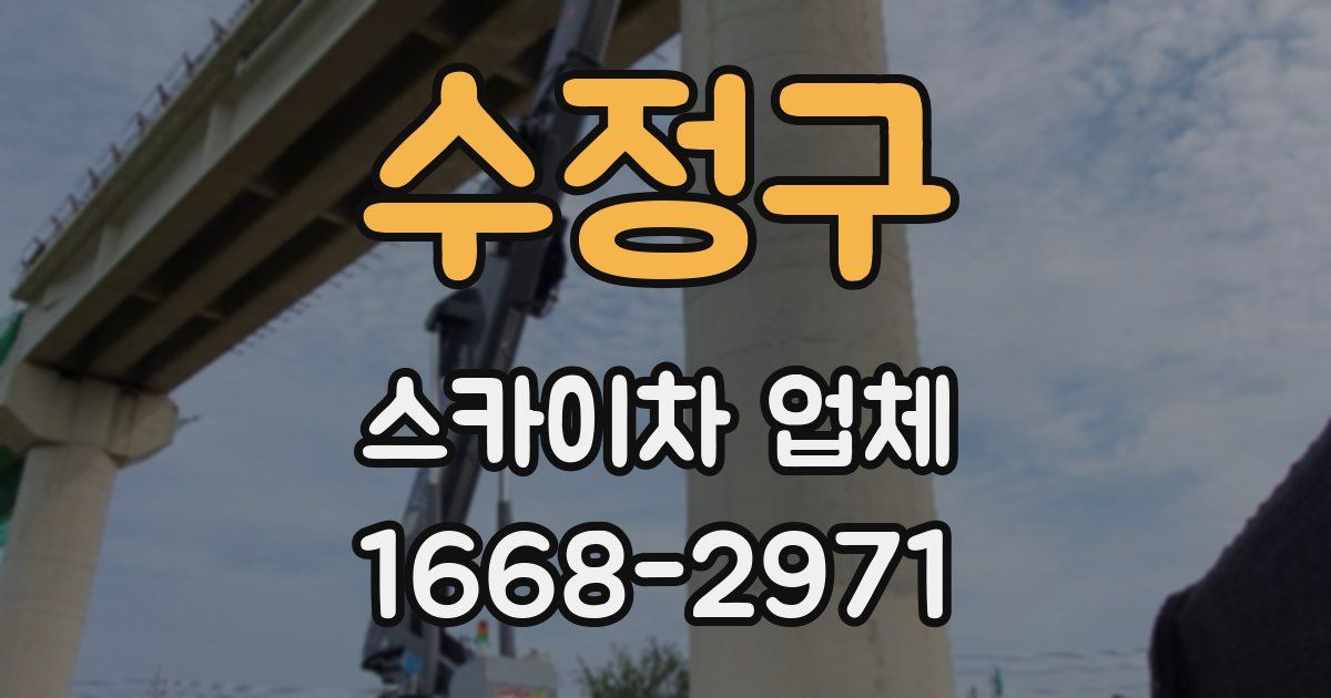 수정구 스카이차 업체