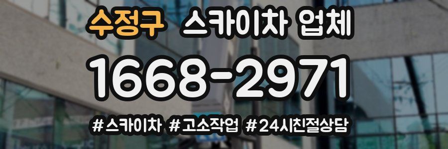 수정구 스카이차 업체