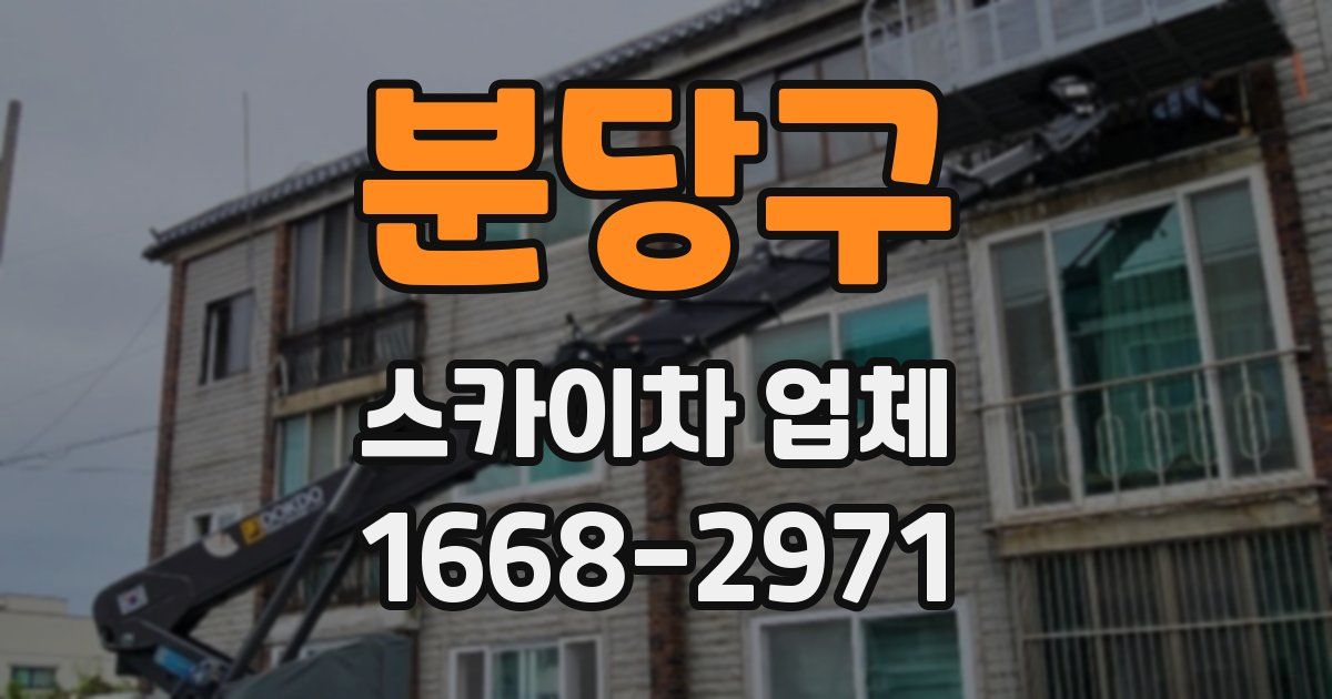 분당구 스카이차 업체