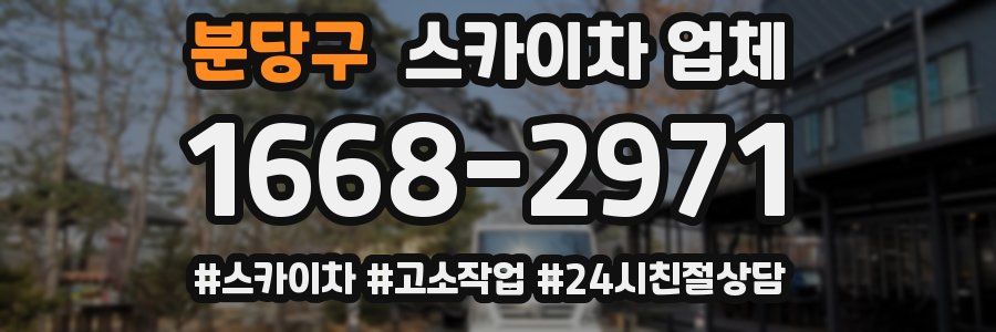 분당구 스카이차 업체