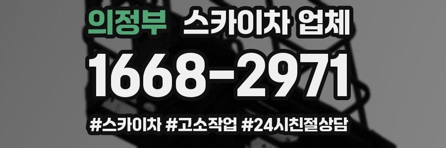 의정부 스카이차 업체