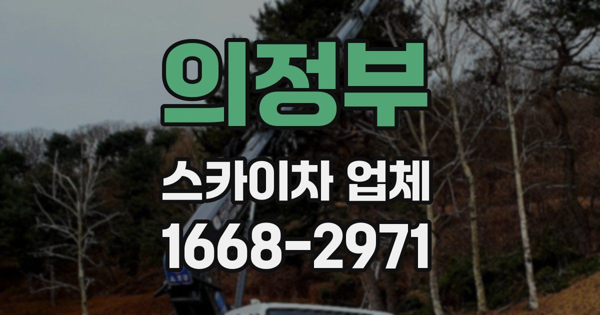 의정부 스카이차 업체