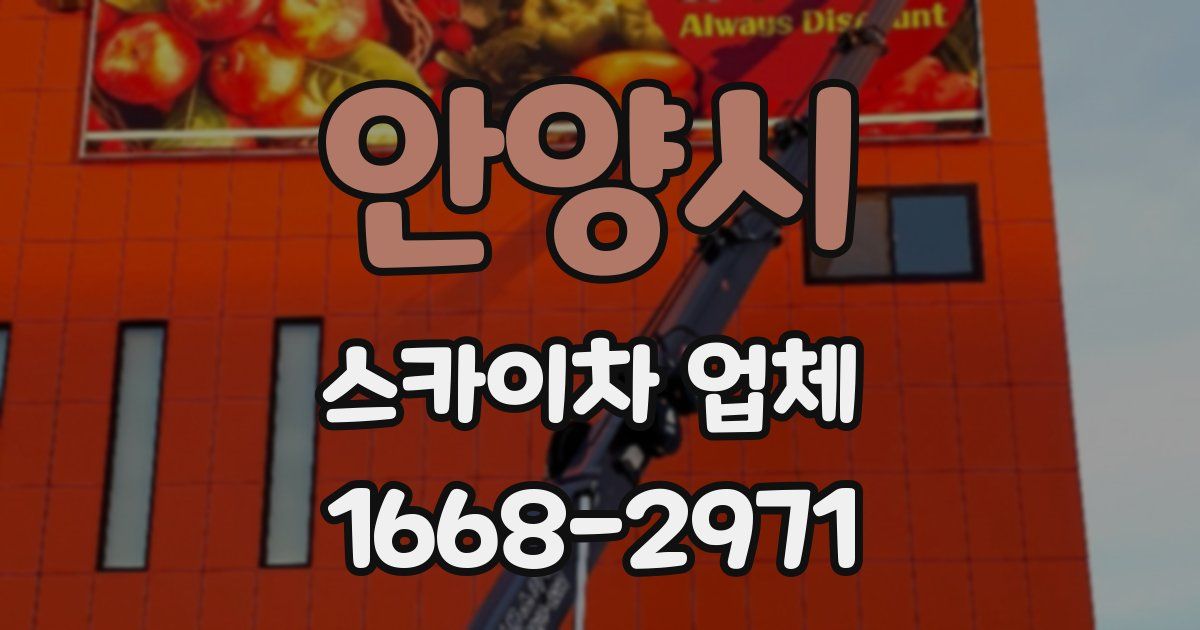 안양시 스카이차 업체