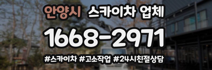 안양시 스카이차 업체