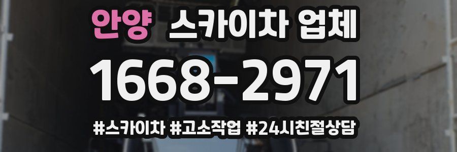 안양 스카이차 업체